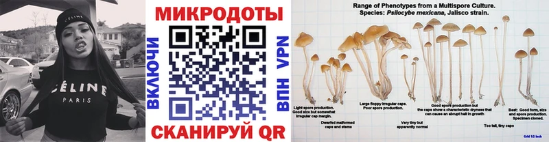 Псилоцибиновые грибы GOLDEN TEACHER  наркотики  Гатчина 