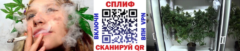 МАРИХУАНА Bruce Banner  цена   Гатчина 