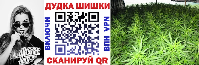 Конопля семена Гатчина